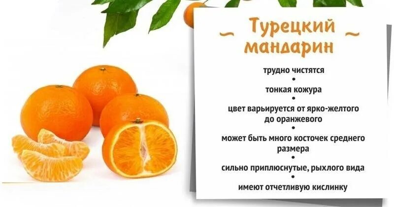Витамины в мандаринах. Как выбрать мандарины. Есть ли в мандаринах витамин с. Мандарины кишечник. Мандарин ребенку с какого