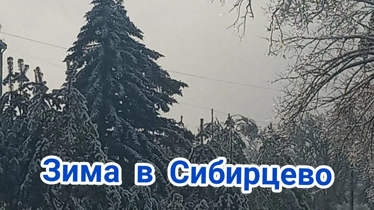 Поселок Сибирцево. Пгт Сибирцево Приморский край. Аптека Сибирцево. Сибирцево Приморский край время. Сибирцево погода на 10 дней приморский край