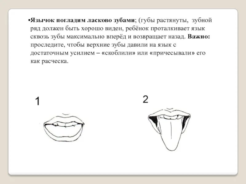 Правильное положение языка. Упражнения для правильного положения языка. Положение языка схема.