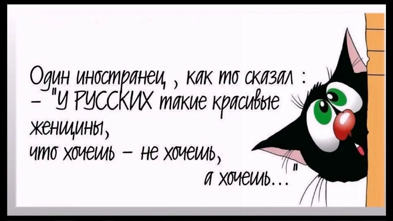 Весёлые статусы про пятницу. Можно и не пить в пятницу. Прикол про выпить в пятницу. Юморные картинки про пятницу. Вечер пятницы.