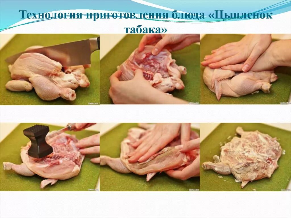 Способы тепловой обработки птицы. Части тушки птицы. Механическая кулинарная обработка мяса. Разделка тушки кролика схема. Разделка дичи.