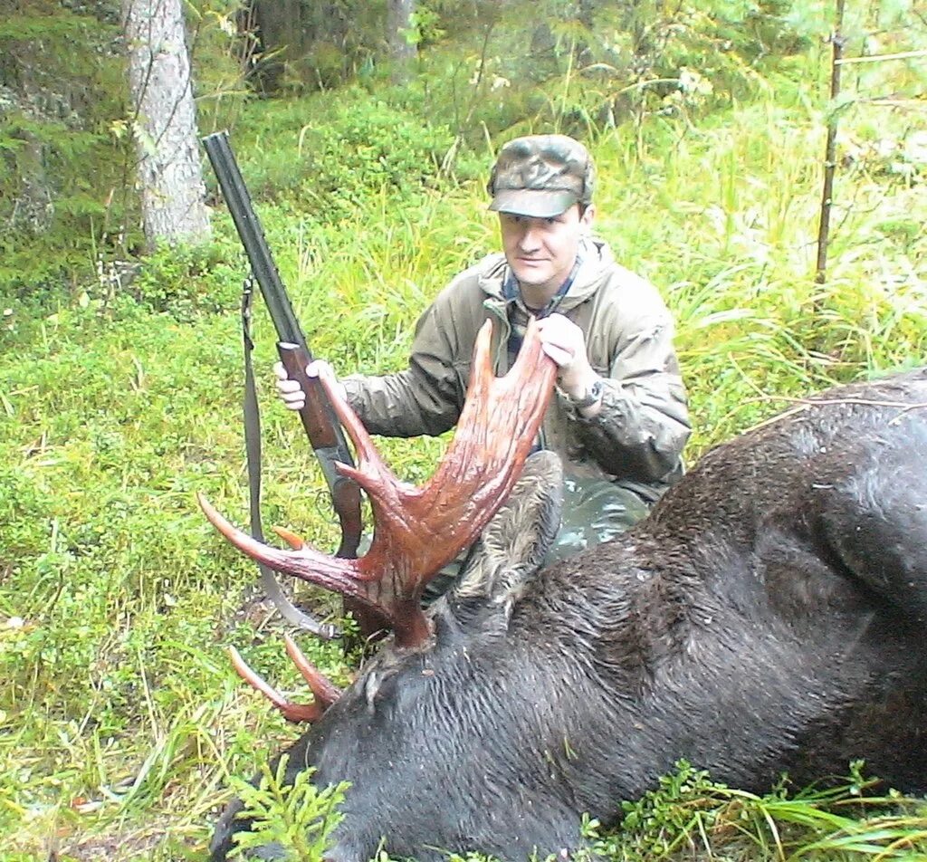 охота на лося можно ли