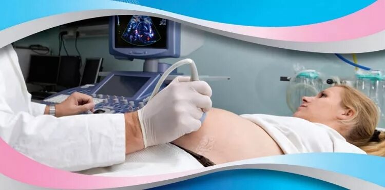 Где можно сделать узи гинекологии. Где можно сделать узи гинекологии. Узи малого таза. Узи беременных. Узи малый таз трансабдоминально.