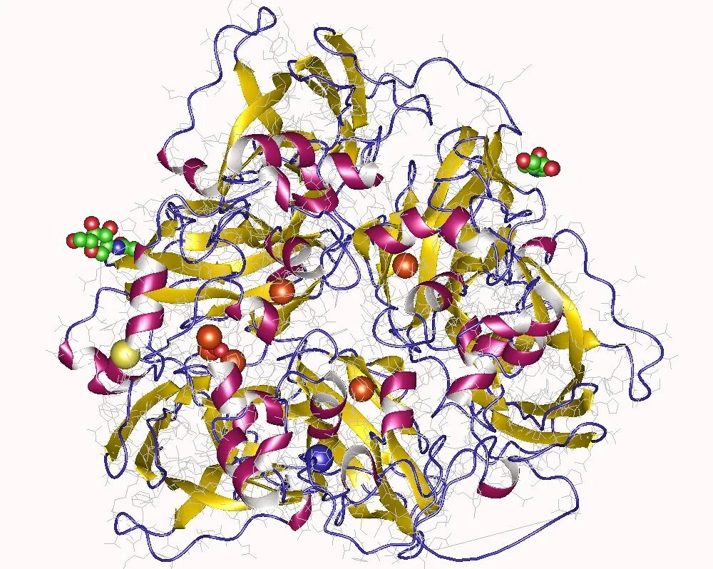 Церулоплазмин что это такое. Церулоплазмин молекула. Церулоплазмин медь. Церулоплазмин формула. Строение церулоплазмина.