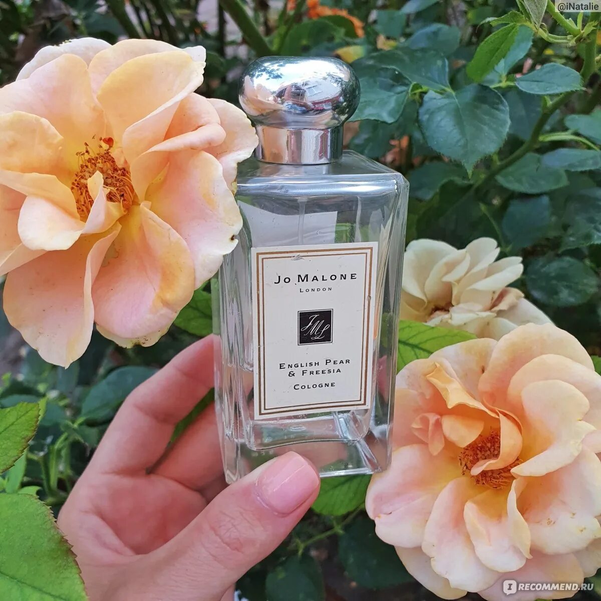 Pear духи. Джо Малон духи груша. Джо Малон аромат груша. Jo Malone Pear and Freesia. Jo Malone English Pear Freesia Cologne.