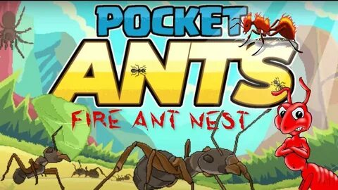 Pocket ants