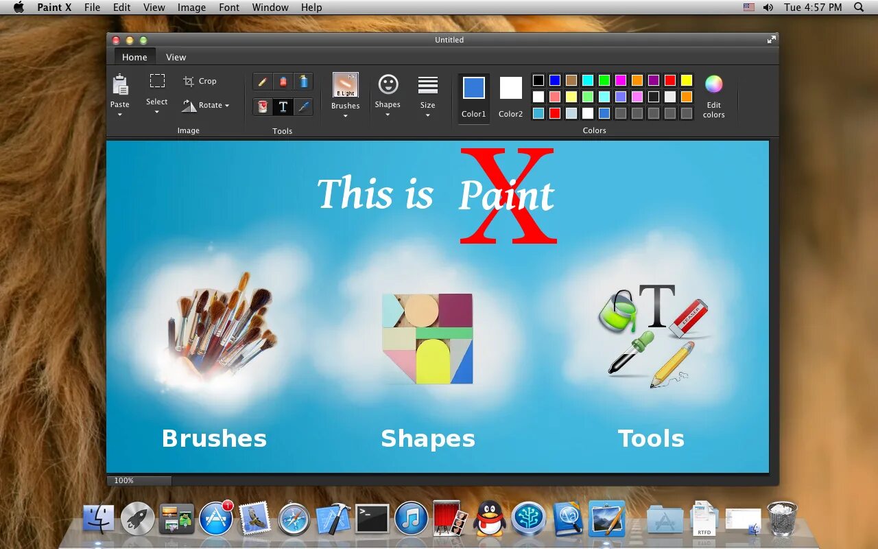 Paint x premium. Paint. Paint приложение. MS Paint программа. Paint Mac os.