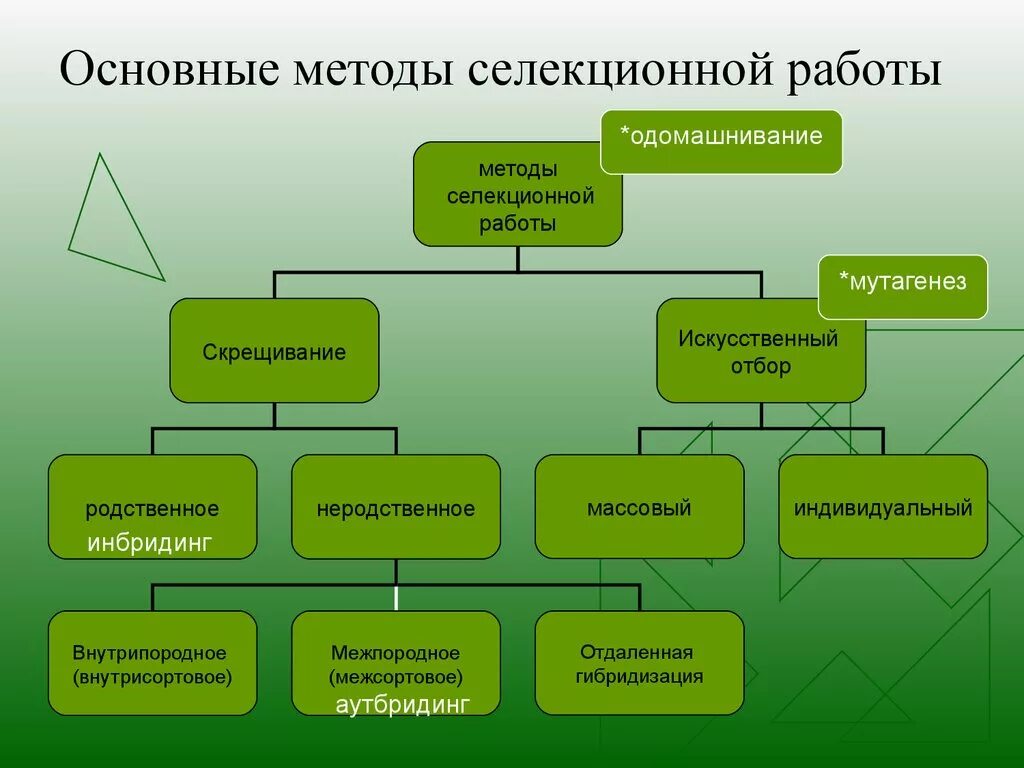 Описание методов селекции растений. Основные методы селекции растений и животных таблица 11 класс. Методы селекции растений животных и микроорганизмов таблица. Методы селекции растений и микроорганизмов таблица. Методы селекции растений.