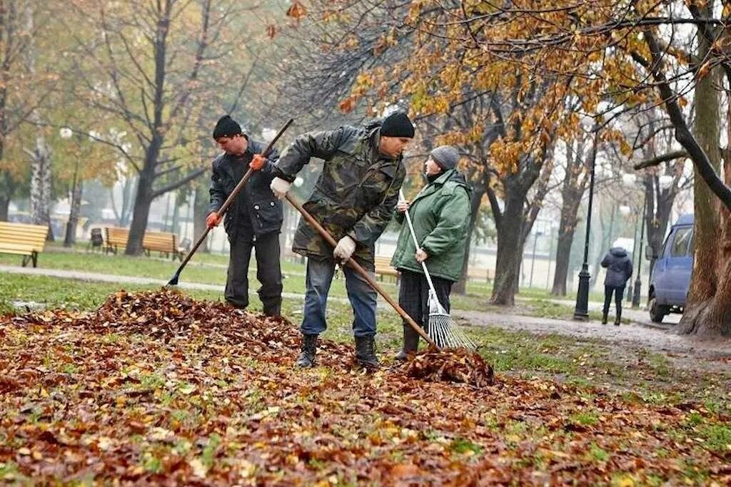 Нужно ли убирать листву. Уборка листьев. Труд людей осенью. Уборка листьев в саду осенью. Уборка листьев в городе.