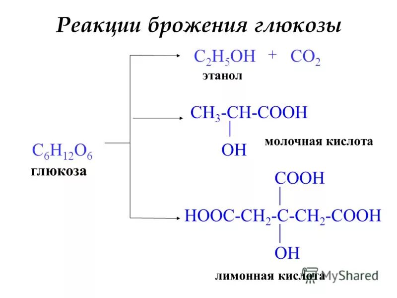 Ch3 cooh c2h5oh. Молочнокислое брожение Глюкозы схема. Брожения Глюкозы c6h12o6 o2. Этанол брожение Глюкозы. Молочнокислое брожение схема реакций.