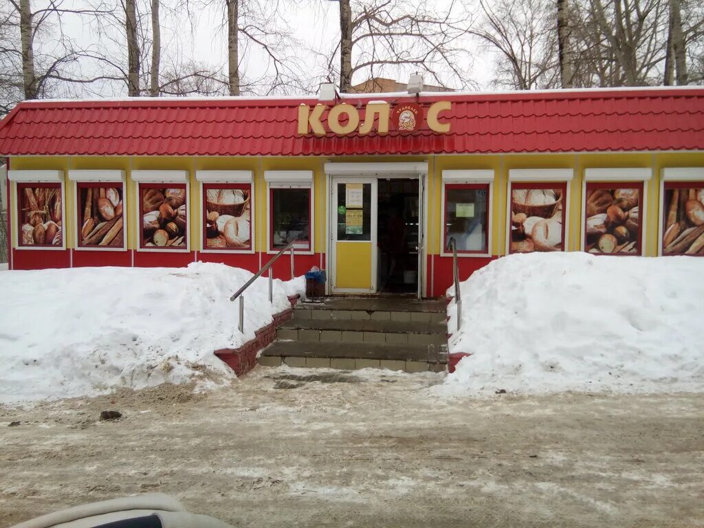 Зеленые колосья пшеницы. Соцветие колос пшеница. Пшеница фото. Колоса 16. Магазин колос кирово чепецк.