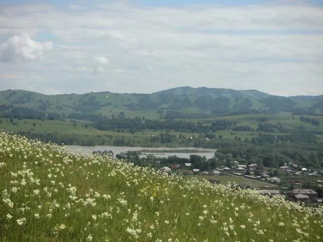 Село ая Алтайский край. Фото села ая Алтайского края. Село верх ая. Верх ая Алтайский край фото.