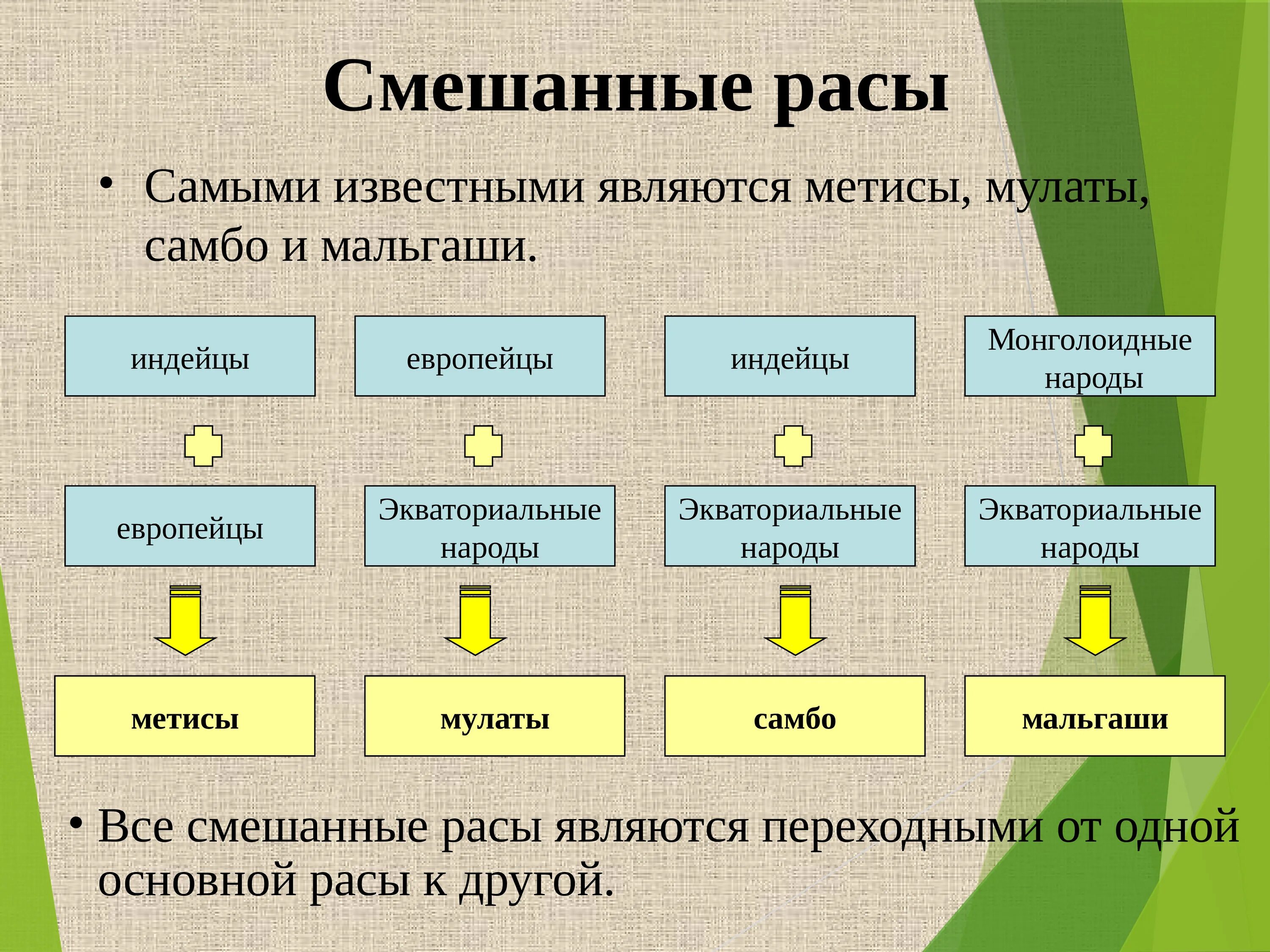 Смешанные расы людей