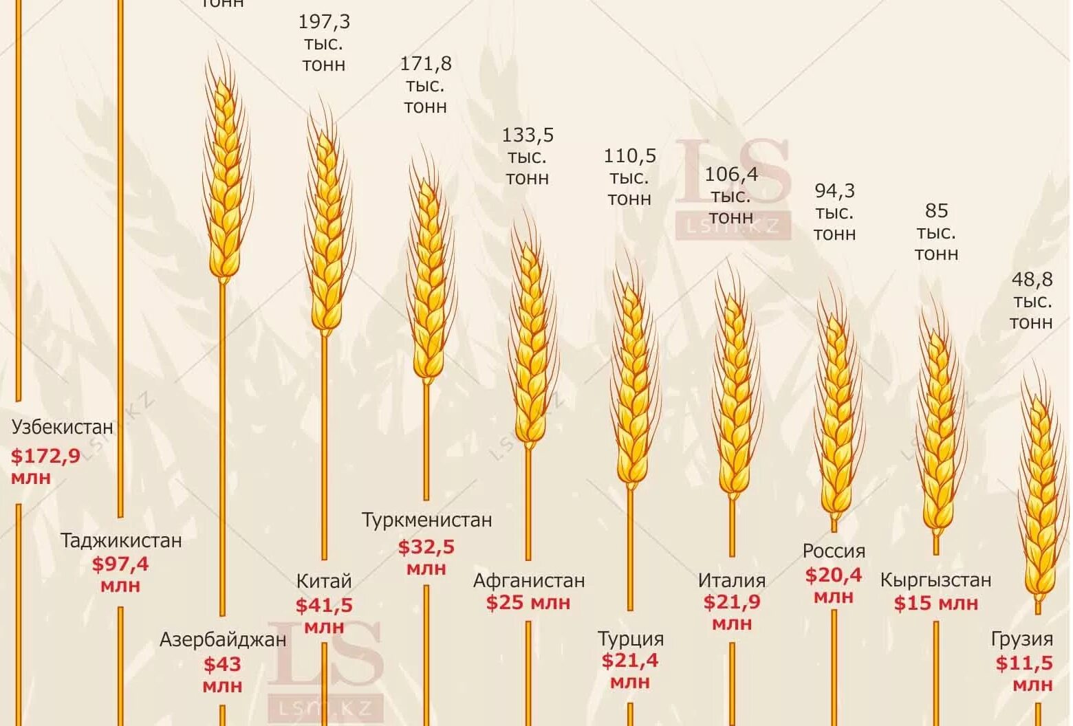 Инфографика пшеница. Экспорт Казахстанской пшеницы. Экспорт пшеницы инфографика. Сколько растет пшеница.