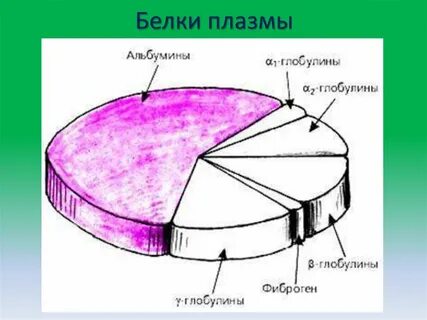 Соотношение альбумин глобулин