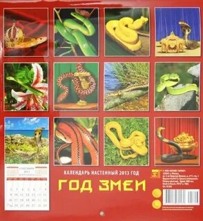 Год змеи 2025 для кабана