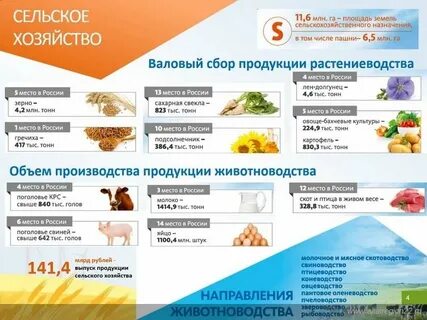 Хозяйства алтайского края