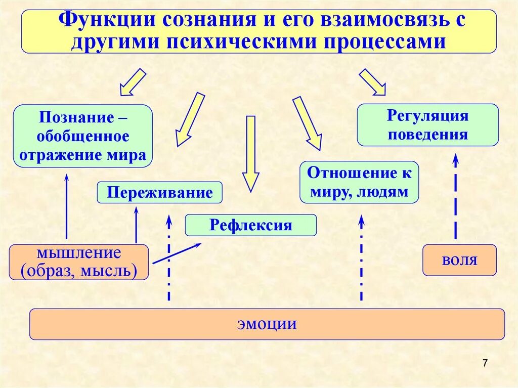 Сознание выполняет функции. Взаимосвязь памяти с другими психическими процессами. Сознание и психические процессы. Взаимосвязь внимания с другими психическими процессами. Сознание в психологии презентация.