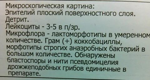 Что значит эпителий плоский поверхностного слоя