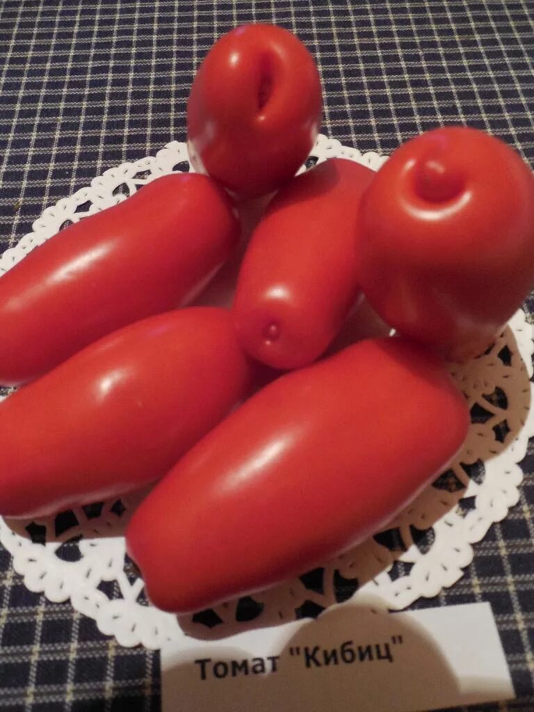 кибиц томат описание. томат кибиц. томат кибиц. томат кибиц. помидоры сорт кибиц.