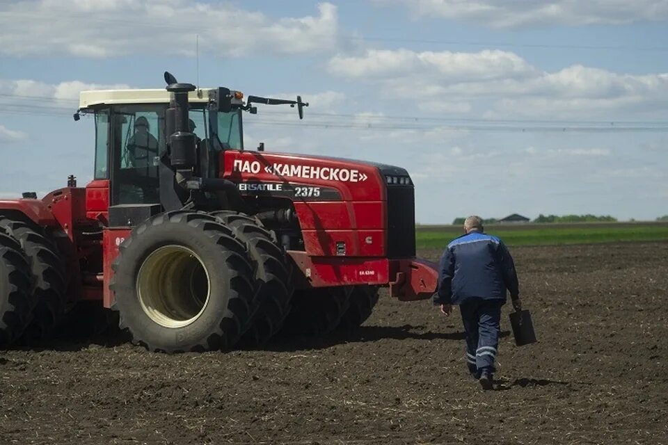 Мой рекордный урожай. Украина урожай. В 2016 Г В России был собран рекордный урожай. Несобранный урожай Украина сейчас. В сентябре был собран рекордный