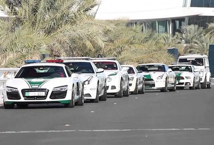 Дубай Абу Даби полиция. Полицейские машины Абу Даби. Дубайская полиция машины. Полиция Дубая машины.