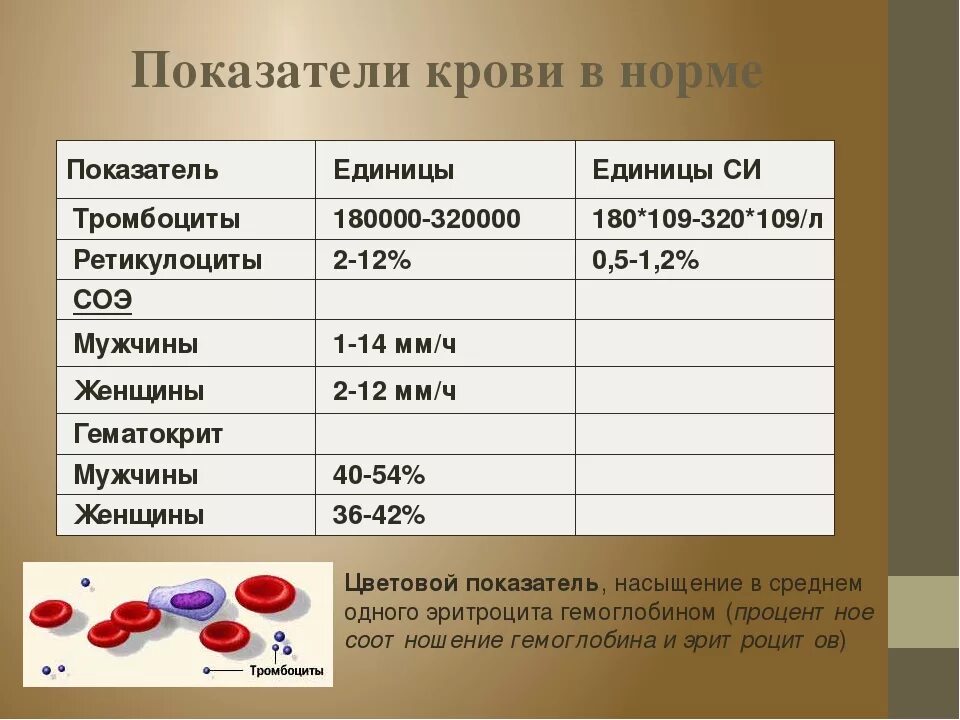 Ретикулоциты повышены у мужчины. Нормальные показатели ретикулоцитов периферической крови в %. Ретикулоциты показатель крови норма у детей. Ретикулоциты в крови норма. Норма ретикулоцитов в анализе крови.