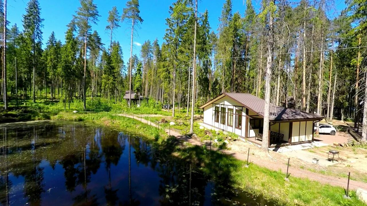 Озеро Ильичево. База отдыха Ильичево. Ильичёво (Ленинградская область). База отдыха Ильичево Ленинградская область.