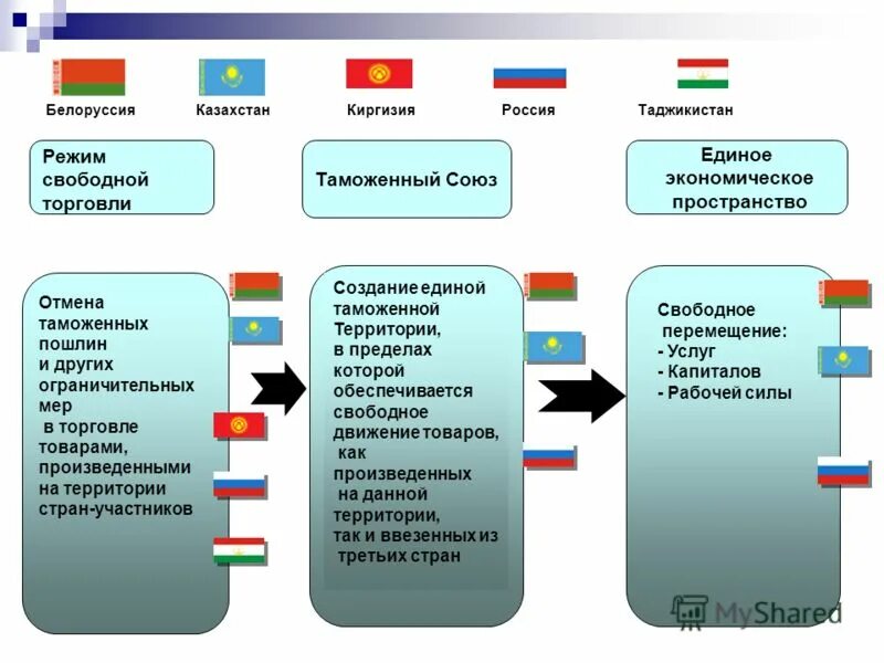 Беспошлинная торговля импортные квоты максимальное использование