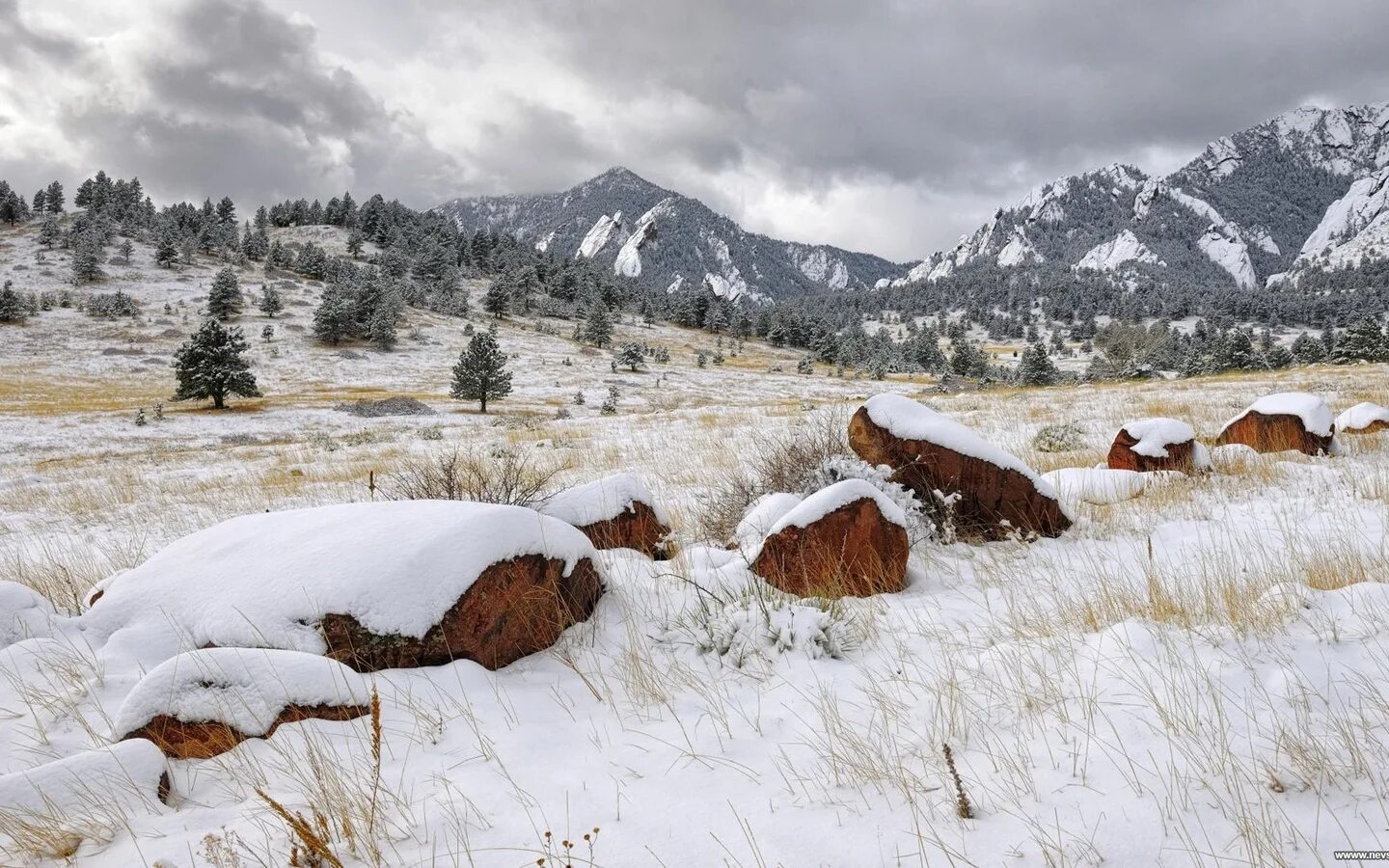 Лес живет засыпаны снегом. Дом зимой. Лес в снегу. Звери зимой. Лес в снегу.