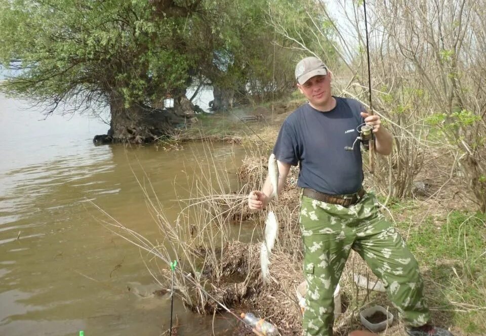 Лов воблы в астрахани весной