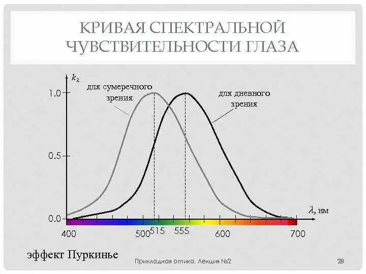 Спектральная чувствительность человеческого глаза. Явление пуркинье. Феномен пуркинье. Эффект пуркинье. Эффект пуркинье.