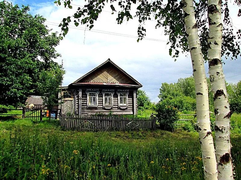 Лесная просека. Деревня шатур. Деревня баженово нижегородская область. Нижегородская область деревня лесная. Битцевский лес сосны.