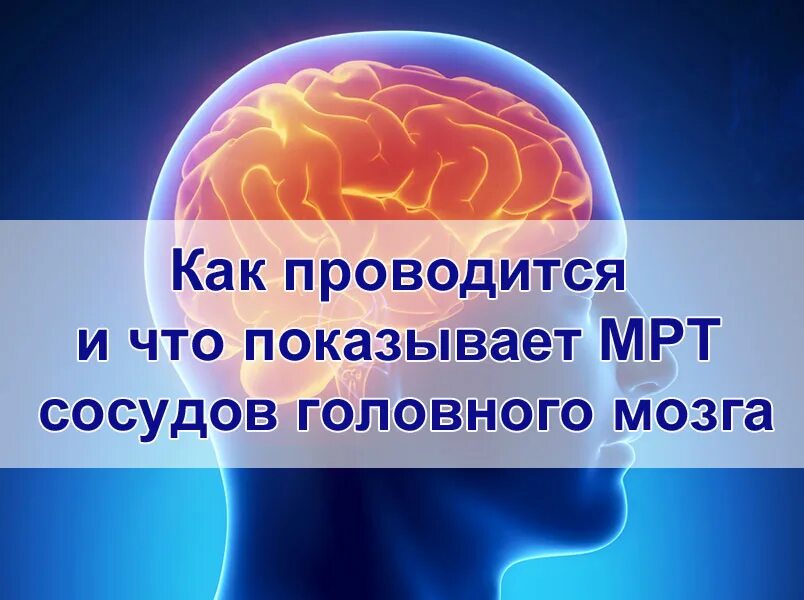 Купить мозг терапи. Осложнения субарахноидального кровоизлияния. Склероз сосудов головного мозга. Приходящие нарушения мозгового кровообращения. Этиология нетравматического субарахноидального кровоизлияния.