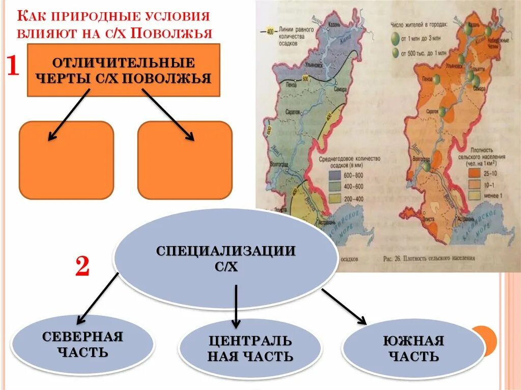 Поволжского типа. Карта-схема экономического района Поволжья. Специализации сельского хозяйства Поволжского района. Поволжский экономический район отрасли экономики. Сельское хозяйство Поволжья 9 класс.