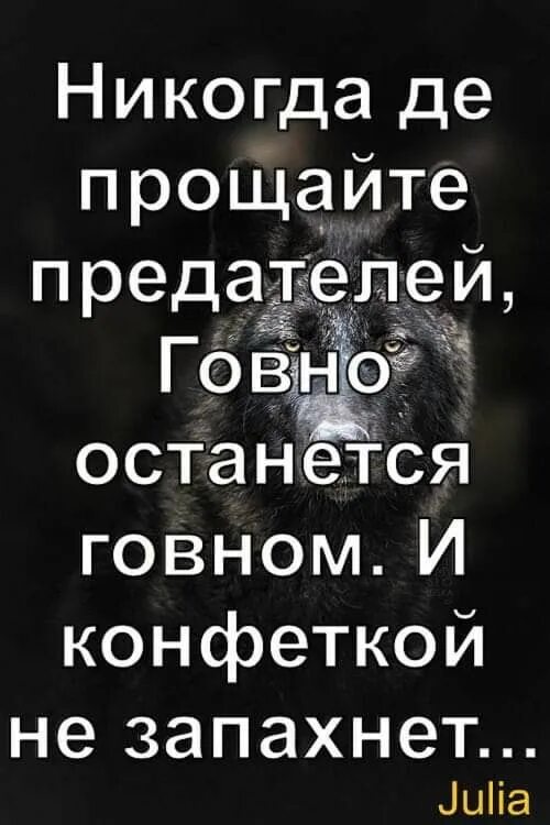 Нет врем ни. Предателям нет прощения. Предатель всегда предаст. Простить предателя. Цитаты про предателей.