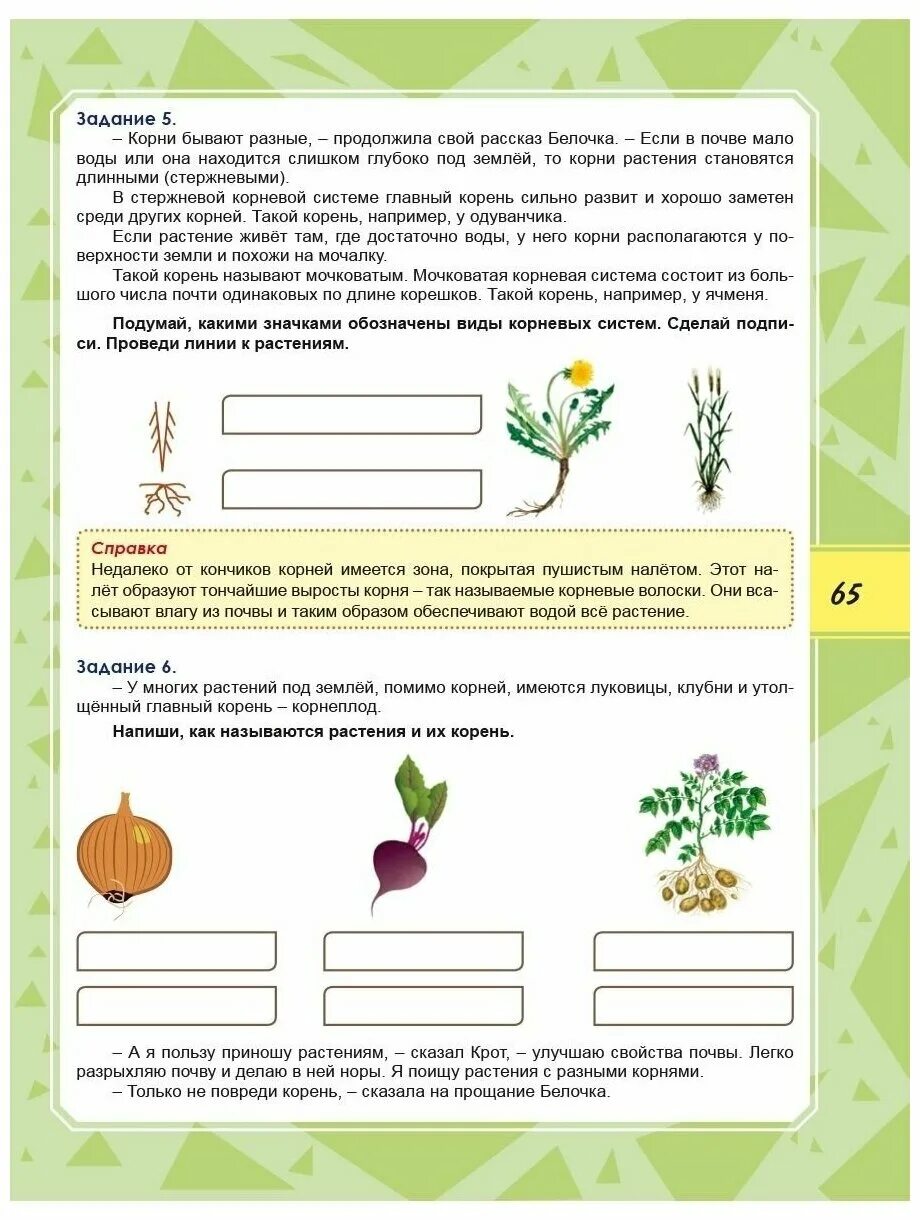 Функциональная грамотность м.в. Буряк, с.а. Шейкина. Функциональная грамотность 2 класс тренажер для школьников. Функциональная грамотность Буряк Шейкина. Функциональная грамотность тренажер Буряк.