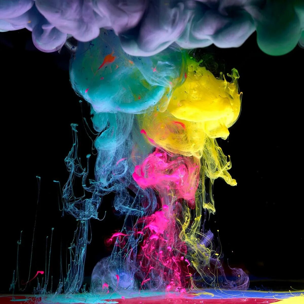 Water paint. Фотограф Марк Моусон. Взрыв красок. Абстракция взрыв красок. Краска в воде.