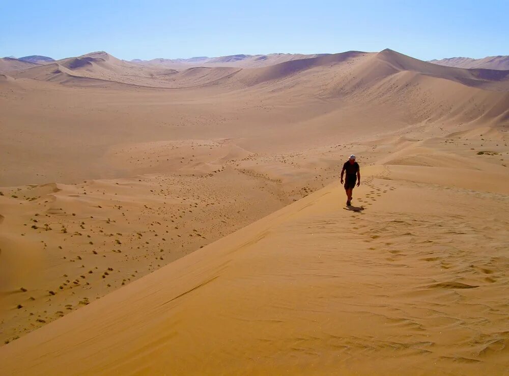 10 самых больших пустынь в мире. Пустыня. Пустынная земля. Самый большой пустыня в мире.