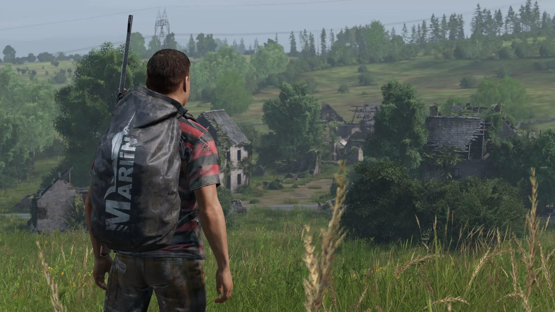 Dayz 1.25 дата выхода. Ливония dayz. дейзи стандалон. свергино дейз. dayz livonia скриншот.