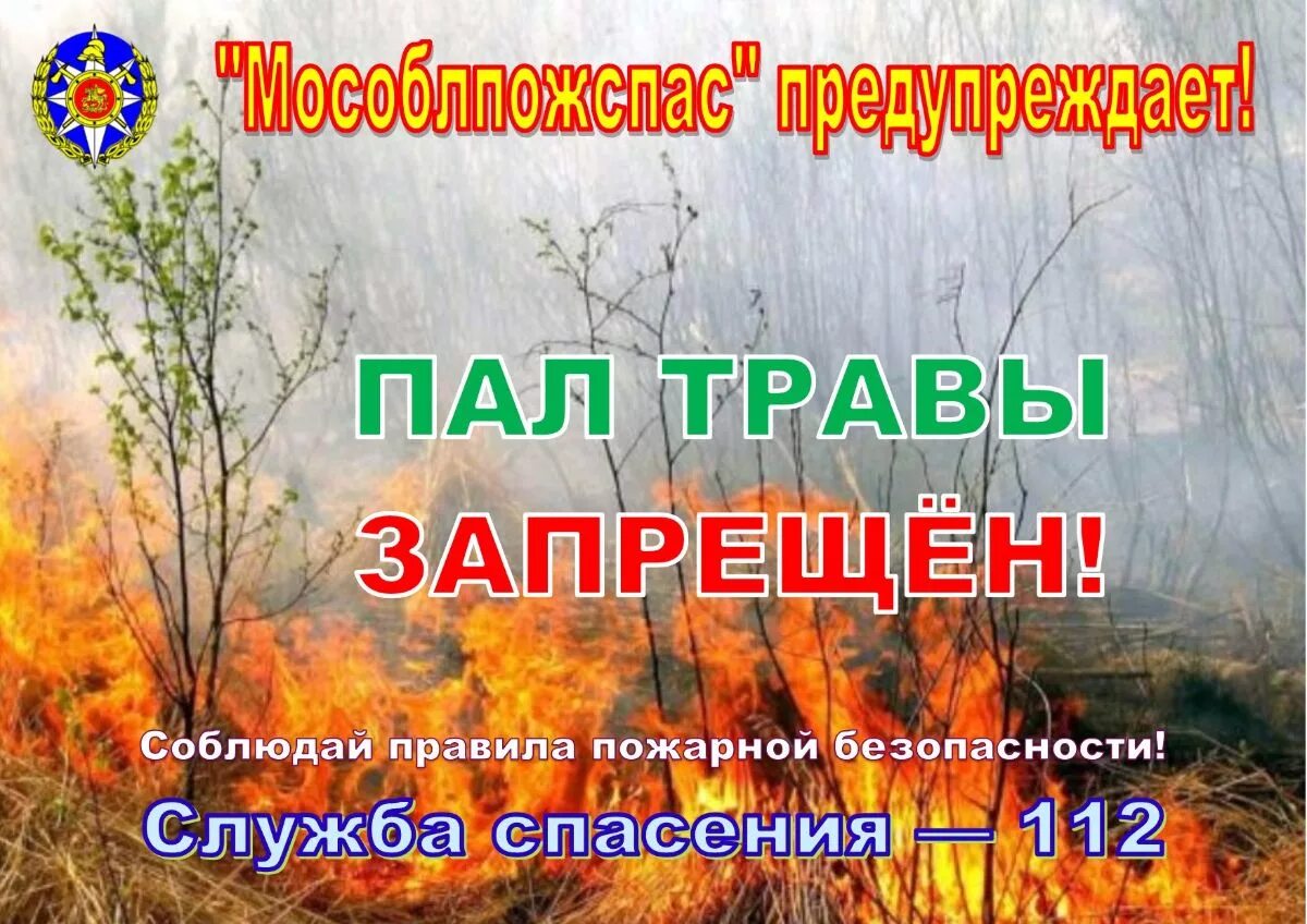 Пал травы запрещен. Запрет пала сухой травы. Пал травы опасен. Пожароопасный весенне-летний период пал травы.