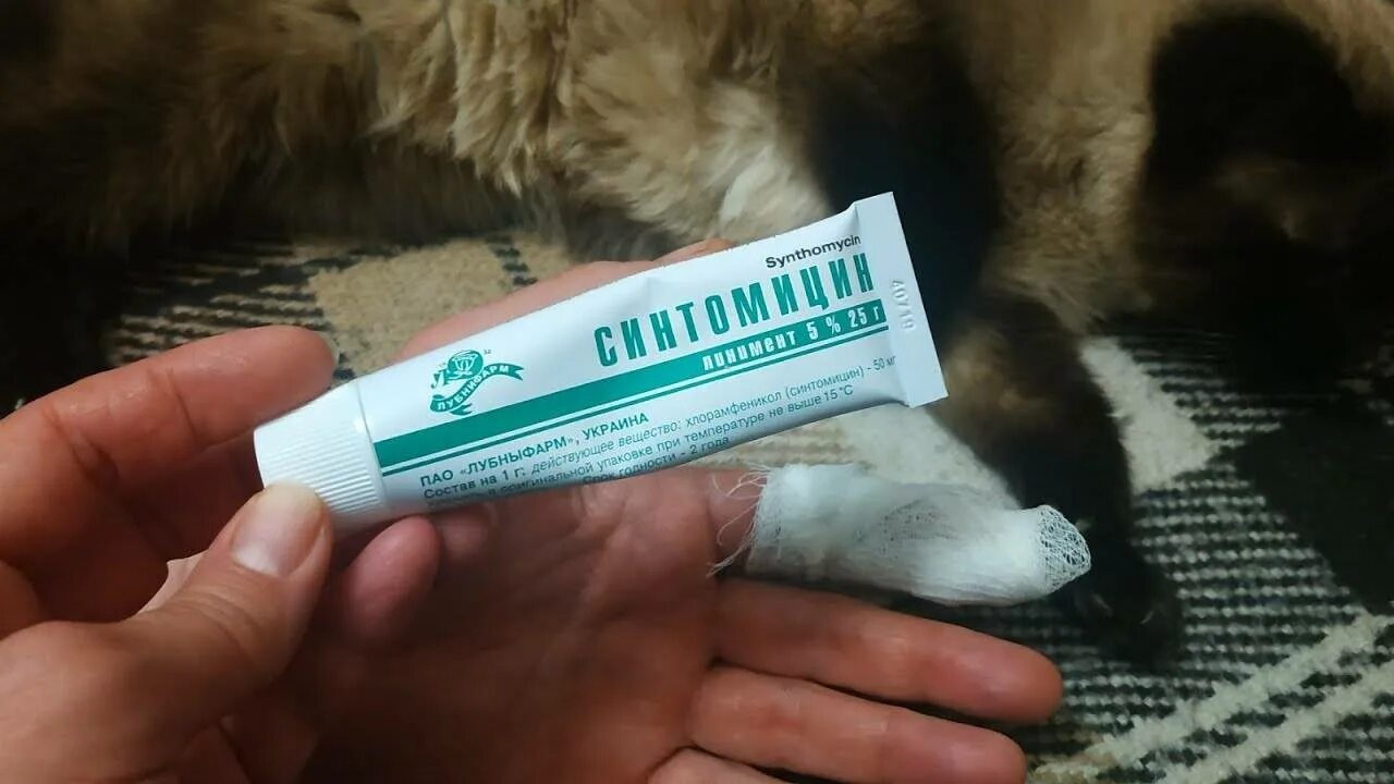 Мазь для заживления. Ветеринарный препарат от лишая. Заживляющая мазь. Левомеколь мазь для чего. Мазь для ран коту.