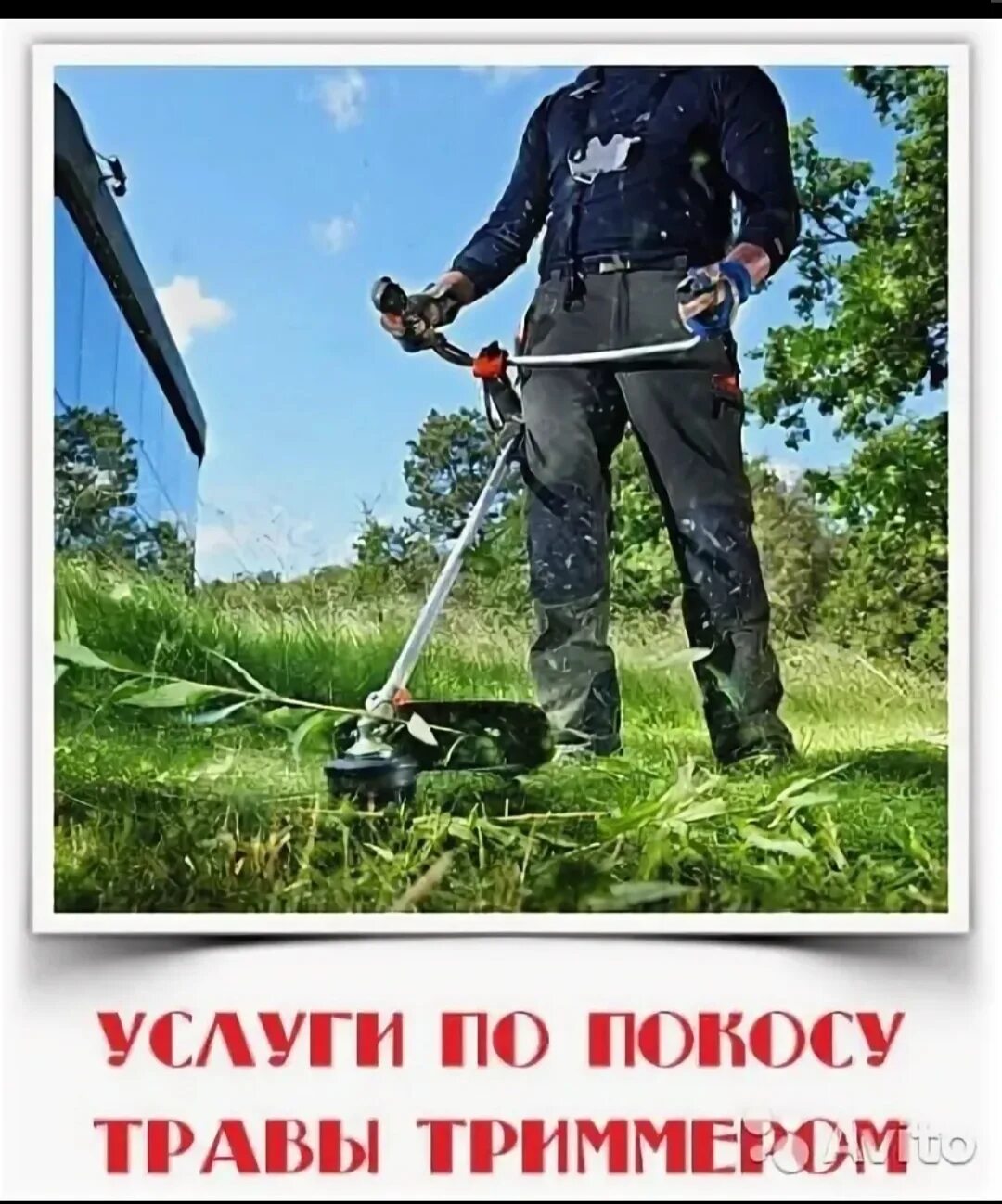 Скашивание травы. Визитка покос травы спил деревьев. Триммер для скосивание травы. Объявление скос травы. Покос травы визитка.