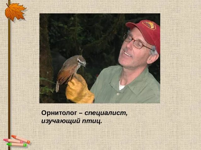 Презентация для детей "Заповедными тропами" - скачать смотреть - скачать презент