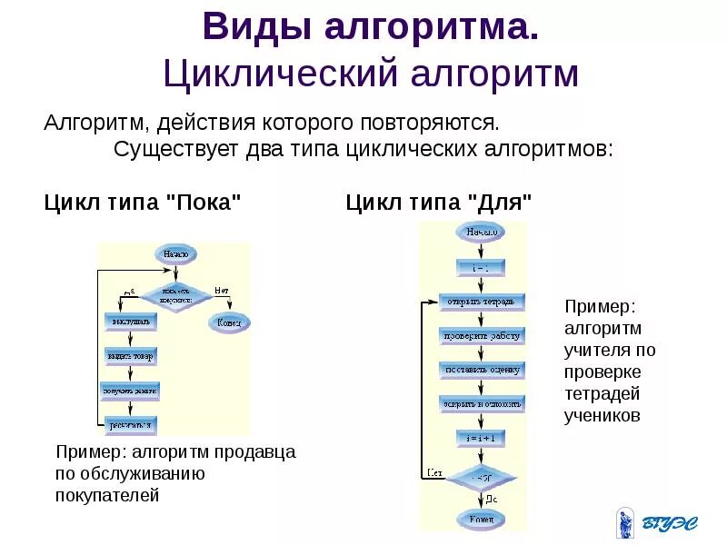 Циклический тип алгоритмов. Циклический алгоритм 2 типа. Циклический алгоритм цикл пока. Цикликличечкий алгоритм. Циклический алгоритм это в информатике.