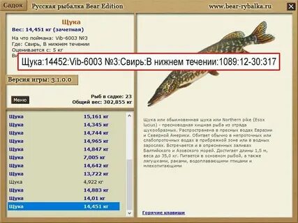 Рыбалка 3 свирь