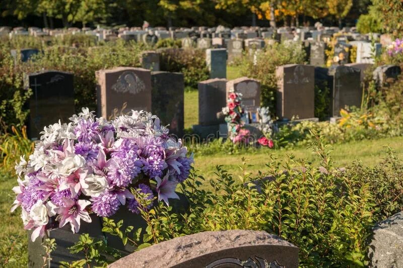 Кладбищенские цветы. Могила с цветами американское. Композиция из цветов на кладбище. Кладбищенские цветы. Цветы на могилу.