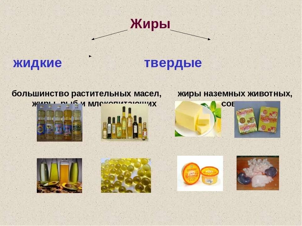 Твердые жиры при комнатной температуре. Твердые и жидкие жиры. Твердые растительные масла. Твердые растительные жиры. Жидкие растительные жиры.