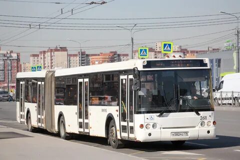 251 автобус спб