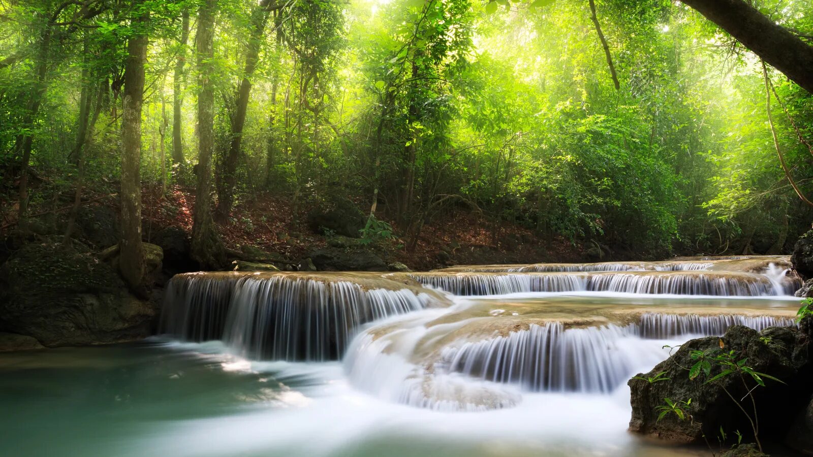 Красивая природа. Шикарная природа. Красивые водопады. Живая природа водопады. Nature is beautiful